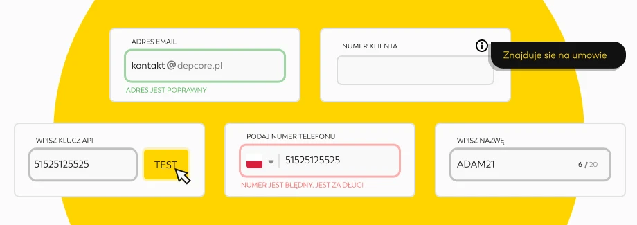 Formularz z polami na adres e-mail, numer klienta, klucz API, numer telefonu i nazwę, pokazujący prawidłowy adres e-mail, nieprawidłowy numer telefonu i podświetlony przycisk TEST. Tooltip mówi Znajduje się na umowie w języku polskim.