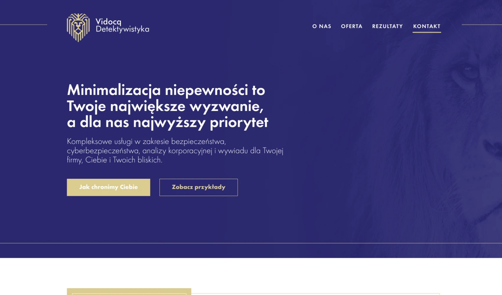 Strona internetowa Vidocq Detektywistyka